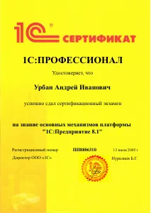 1С:Профессионал Платформа 8